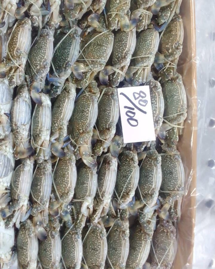 Blue Swimming Crab - Image 3