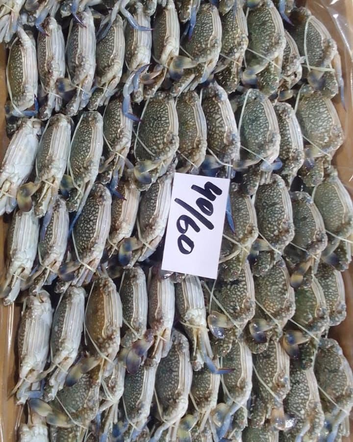 Buy Blue Swimming Crab