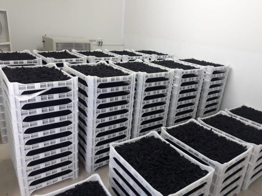 Dried Sea Cucumber - Image 3