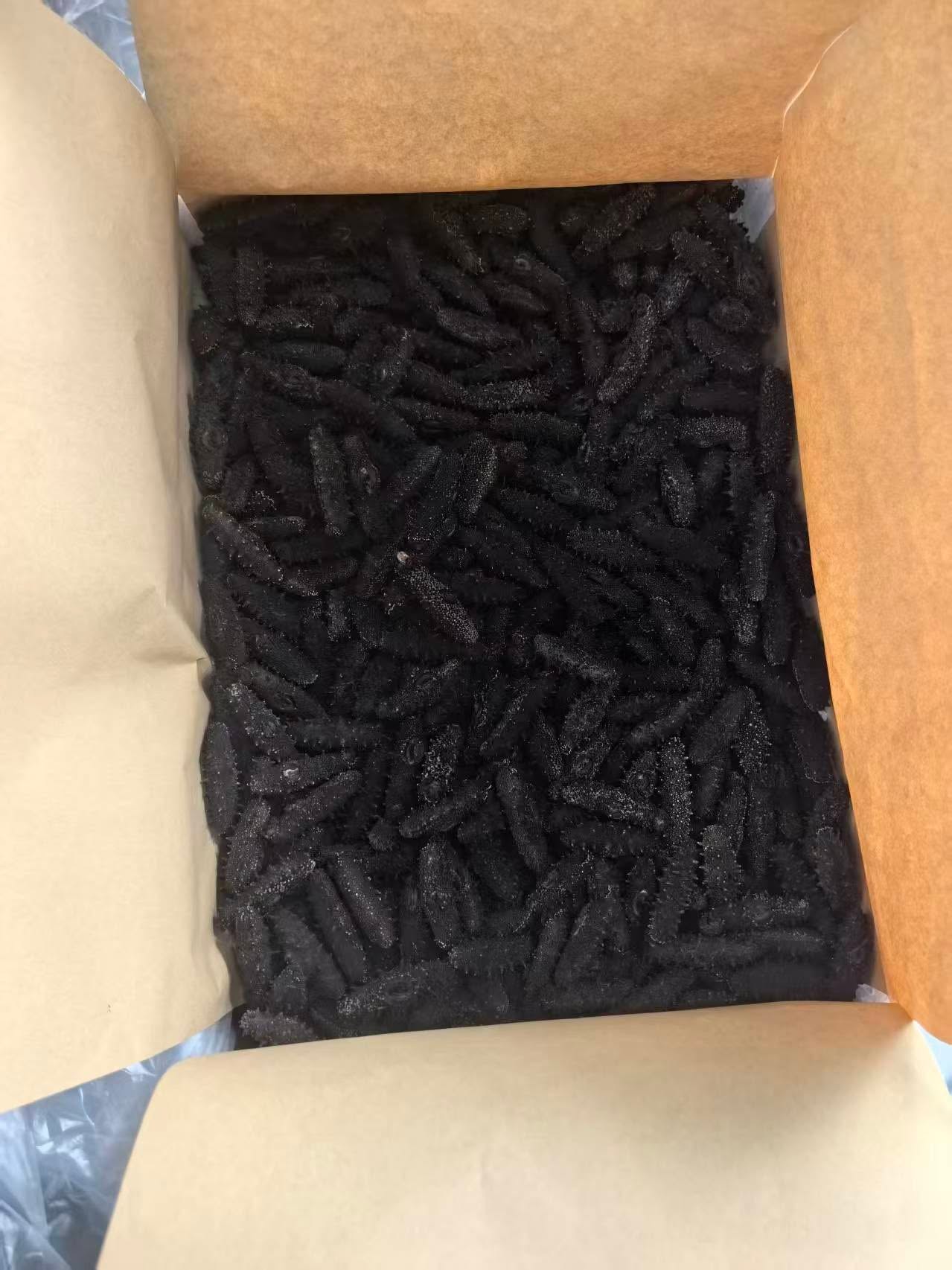 Dried Sea Cucumber - Image 2