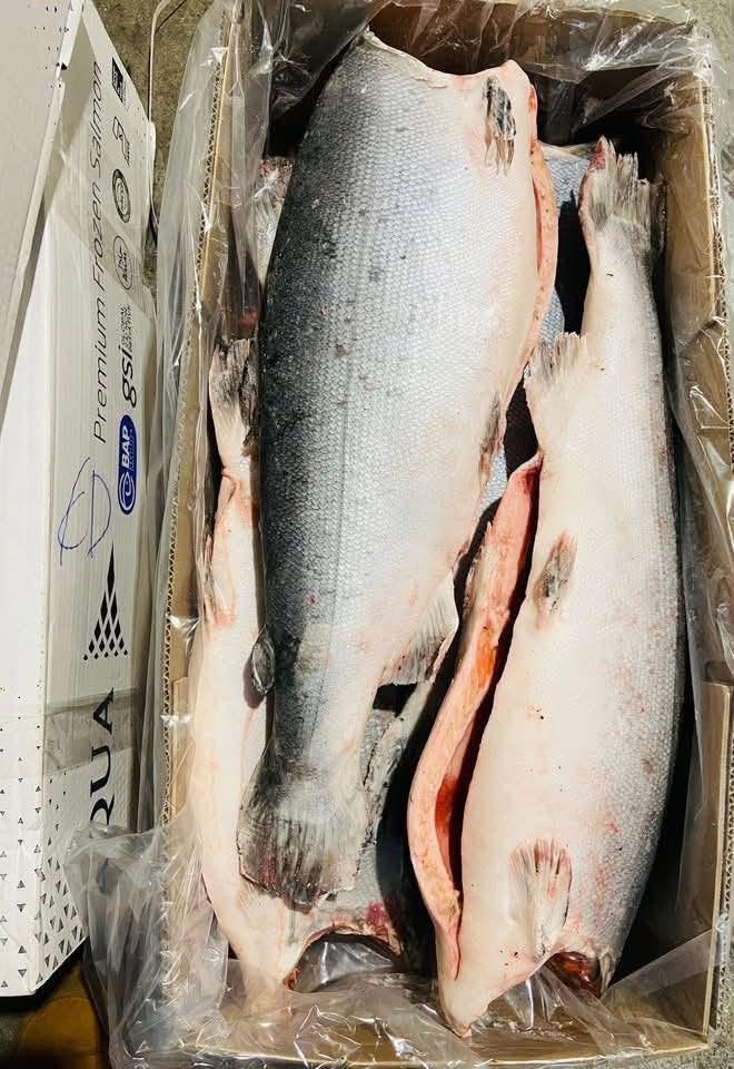 Buy Frozen Coho Salmon fish - Image 3