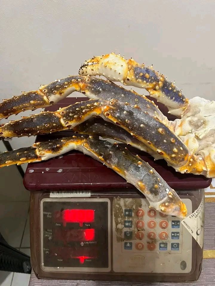 Red King Crab - Image 5