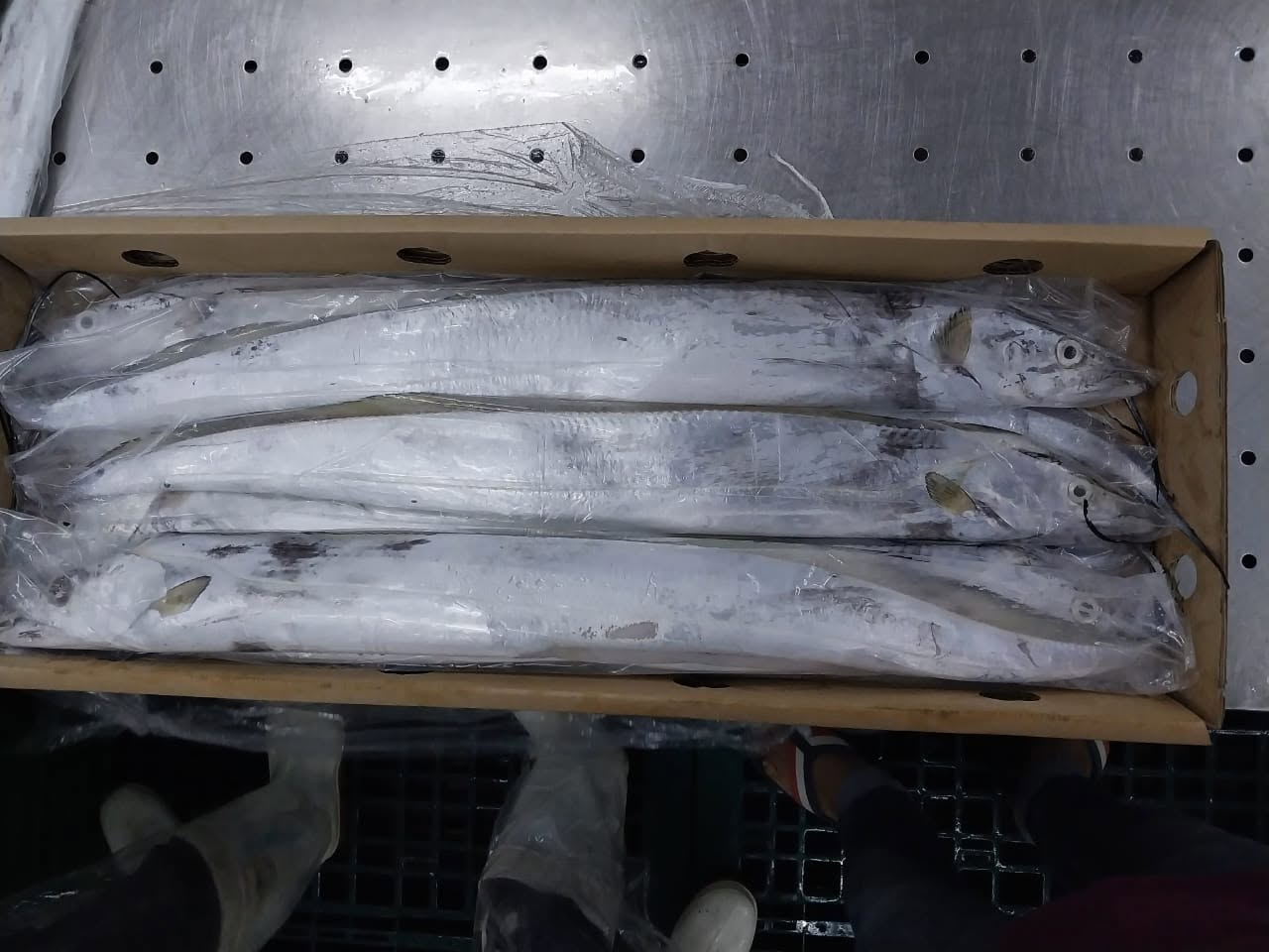 Fresh Ribbon Fish - Image 2