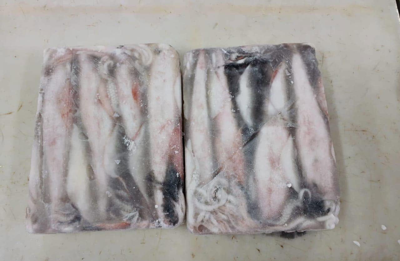 Buy Squid Whole Loliga - Image 4