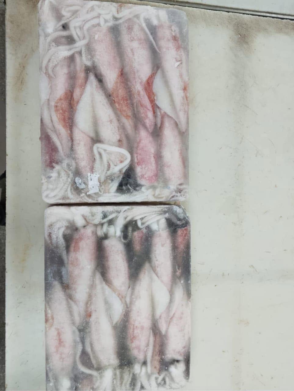 Buy Squid Whole Loliga - Image 3