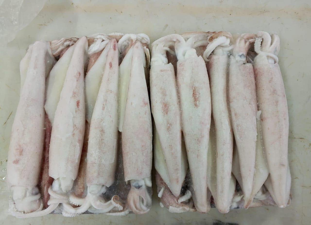 Buy Squid Whole Loliga